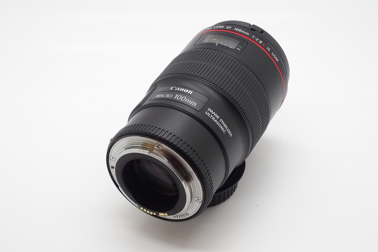 Canon EF 100/2,8 L IS USM Macro Bild 02